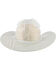 Image #3 - Boot Barn Ranch Hat Protector, No Color, hi-res