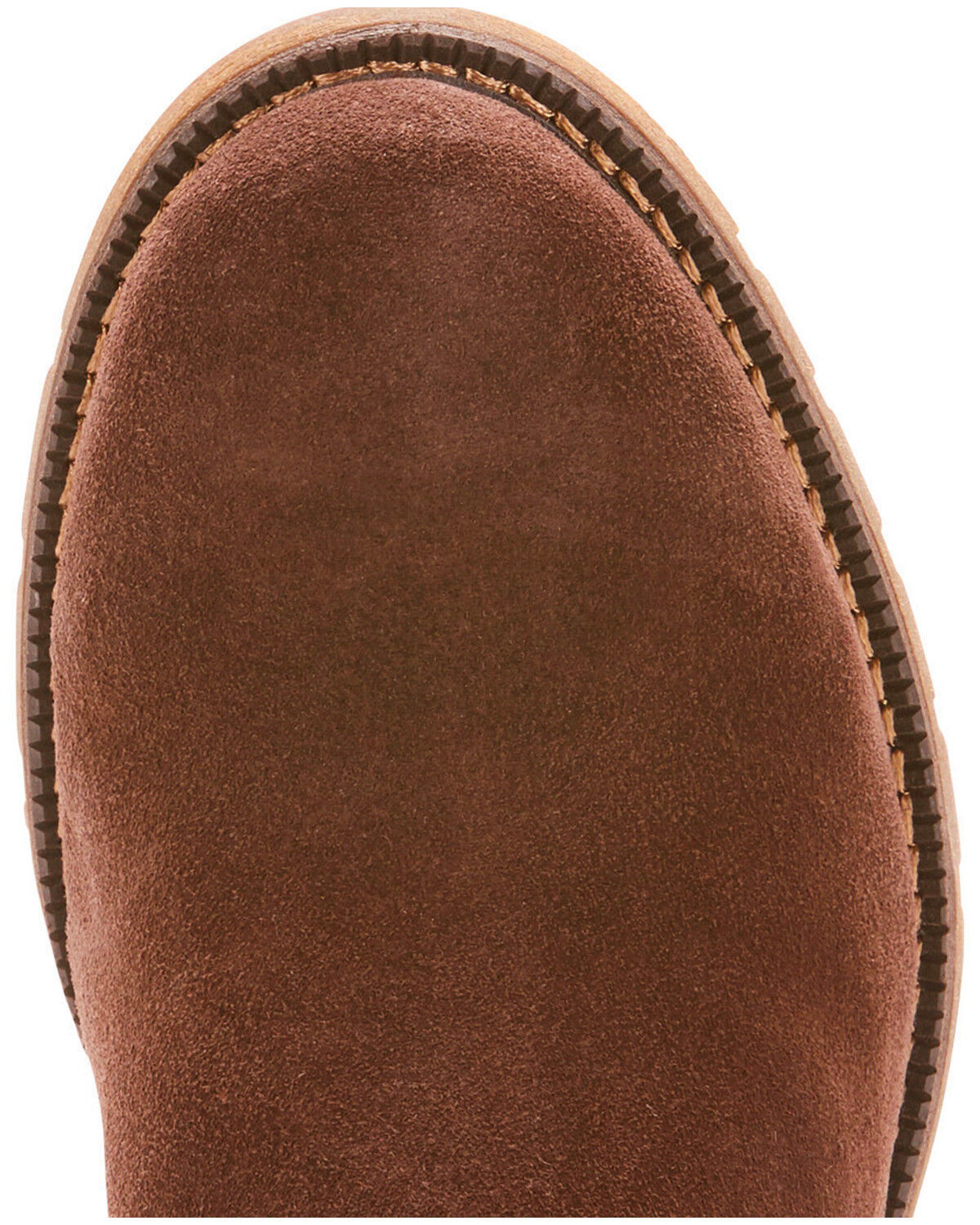 ariat sutton