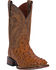 Dan Post Men's Alamosa Full Quill Ostrich Western Boots - Square Toe, Saddle Tan, hi-res