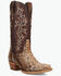 Image #1 - Dan Post Women's Exotic Python Western Boots - Snip Toe, Brown, hi-res