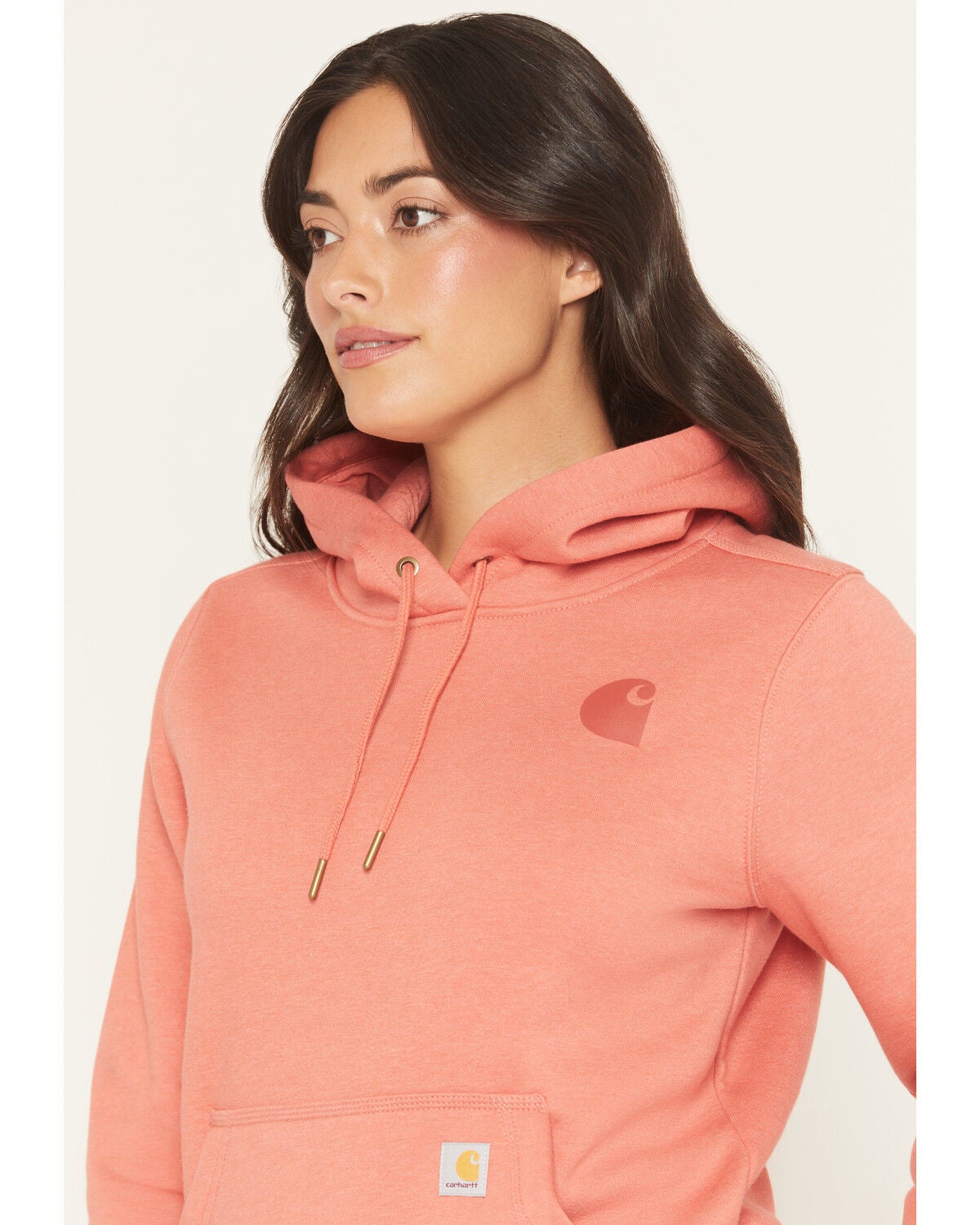 Carhartt Women's Relaxed Fit Midweight Logo Sleeve Graphic Hoodie