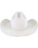 Image #4 - Resistol Tarrant 20X Felt Cowboy Hat, Silver Belly, hi-res