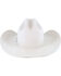 Resistol Men's Silverbelly 20X Beaver Felt Tarrant Cowboy Hat, Silver Belly, hi-res