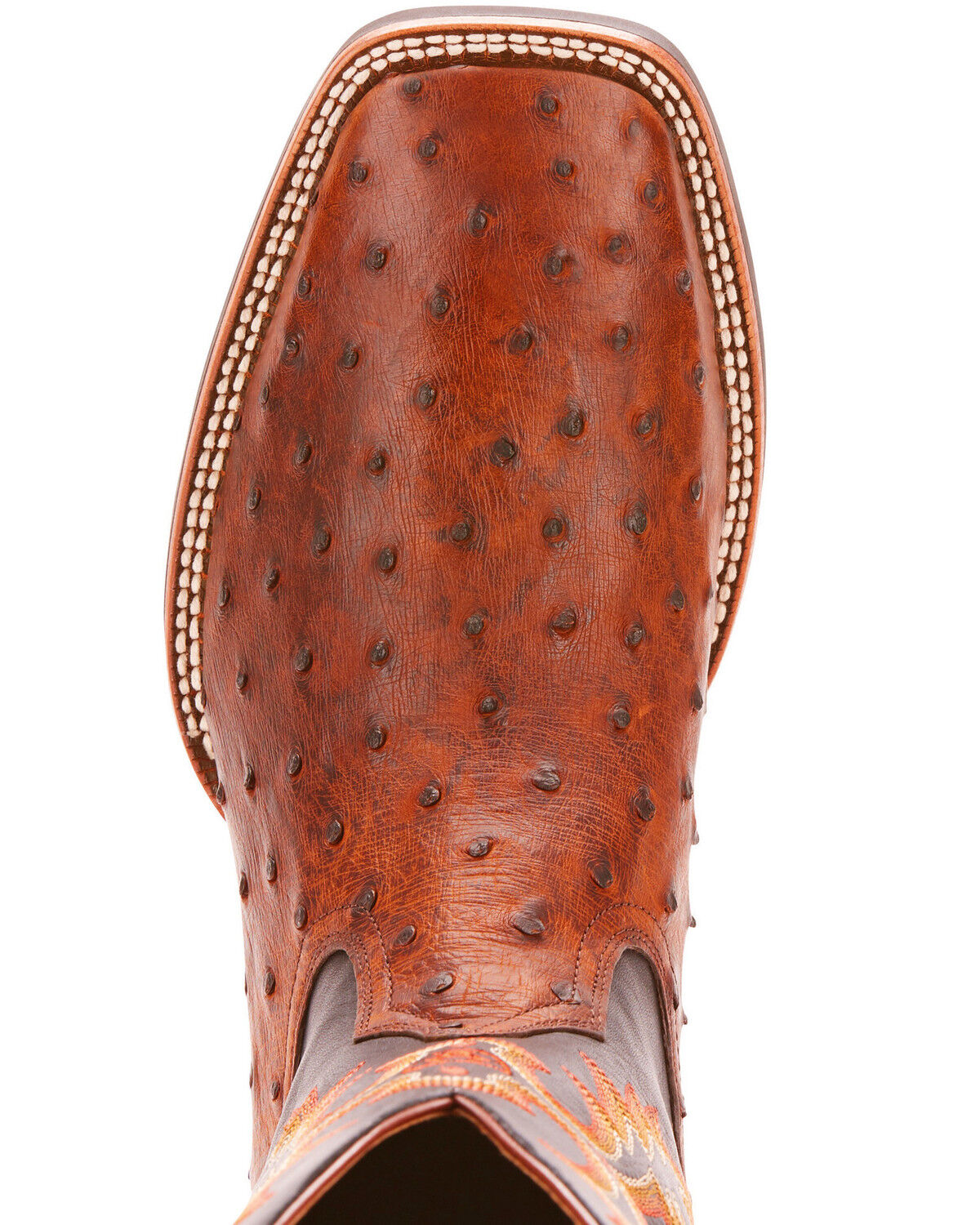 ariat ostrich boots mens