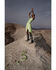 Image #1 - Sadie & Sage Women's Amy Dot Midi Dress, Sage, hi-res
