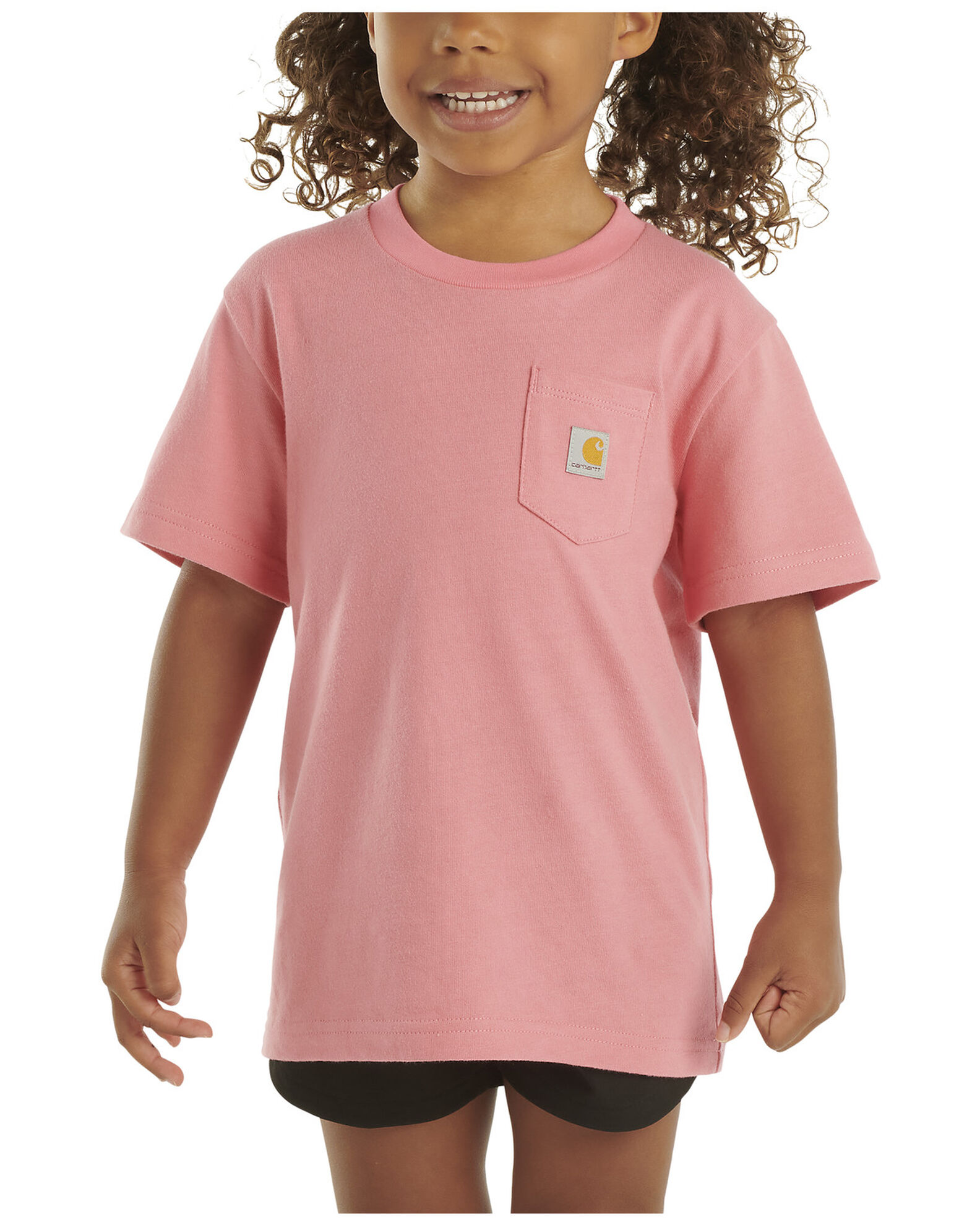 Carhartt short sleeve pocket tee on sale