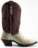 Dan Post Women's Watersnake Western Boots - Snip Toe, Green/silver, hi-res