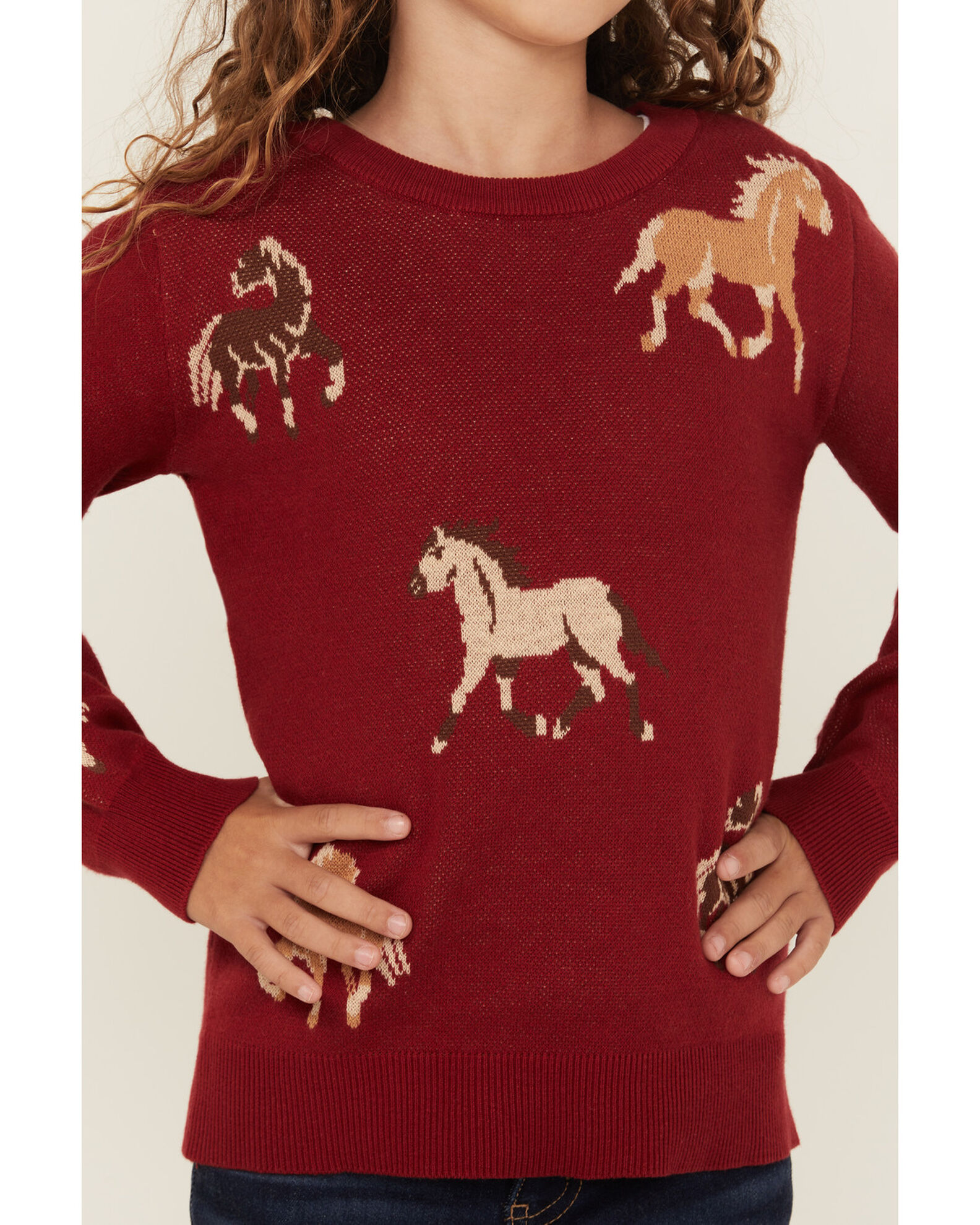 Cotton Rye Girls Horse Print Sweater Sheplers