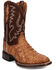 Image #1 - Dan Post Leon Exotic Caiman Western Boots - Broad Square Toe, Brass, hi-res