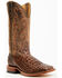 Horse Power Men's Nile Croc Western Boots - Square Toe, Brown, hi-res