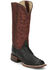 Image #1 - Justin Women's Exotic Full Quill Ostrich Western Boots - Broad Square Toe, Black, hi-res