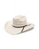 Image #1 - Resistol Chase 20X Straw Cowboy Hat, Natural, hi-res
