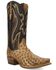 Image #1 - Dan Post Men's Grit Exotic Full Quill Ostrich Tall Western Boots - Snip Toe, Tan, hi-res