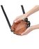 Image #2 - Hobo Women's Fern Slim Belt Bag, Black, hi-res