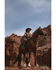 Image #1 - Wrangler Men's Solid Cowboy Cut Firm Finish Long Sleeve Work Shirt, Rawhide, hi-res