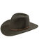 Stetson Men's Gallatin Sage Green Crushable Wool Felt Hat, Sage, hi-res