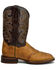Dan Post Men's Rio Arriba Performance Western Boots - Broad Square Toe , Brown, hi-res