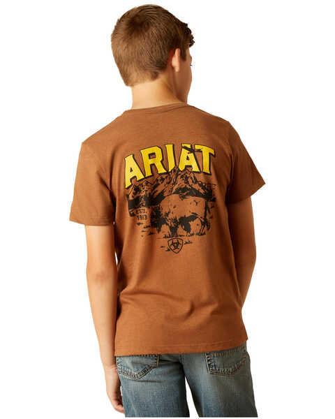 Image #1 - Ariat Boys' Bison Short Sleeve Graphic Print T-Shirt , Brown, hi-res