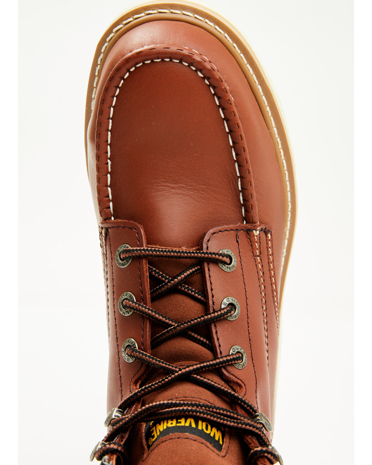 Troentorp | Nepenthes New York