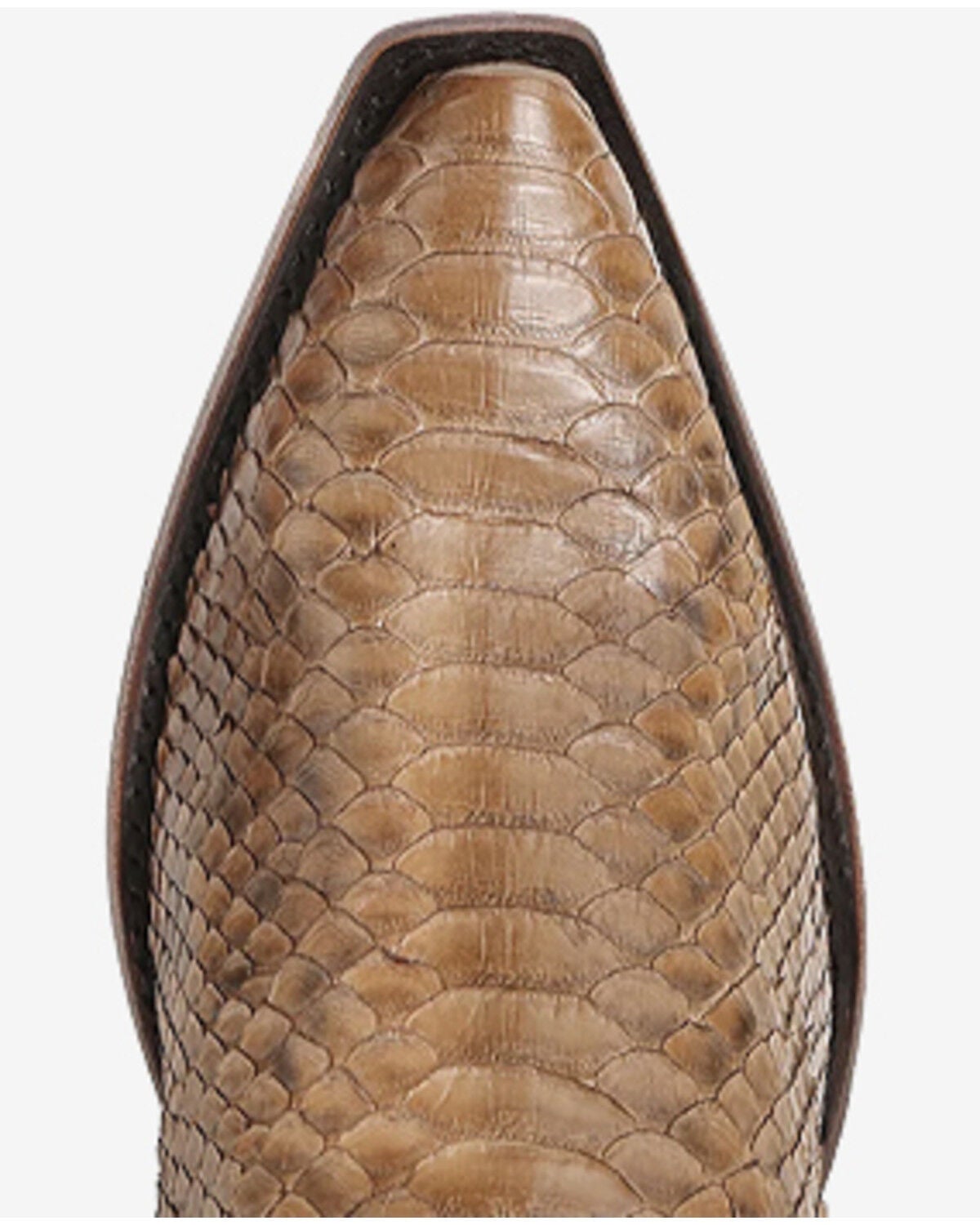 Image #5 - Corral Men's Exotic Python Western Boots - Snip Toe, Honey, hi-res