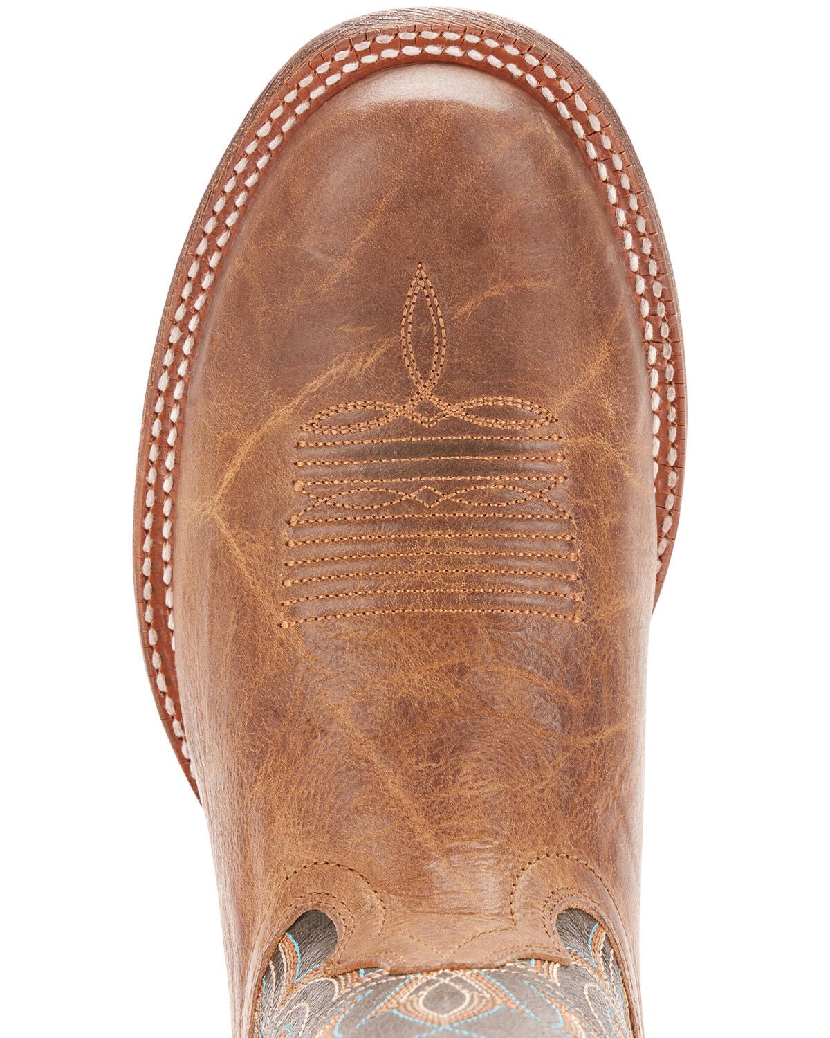 predator tango 18.3 tf