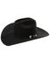 Resistol Men's Black Gold Low Crown 20X Fur Felt Cowboy Hat, Black, hi-res