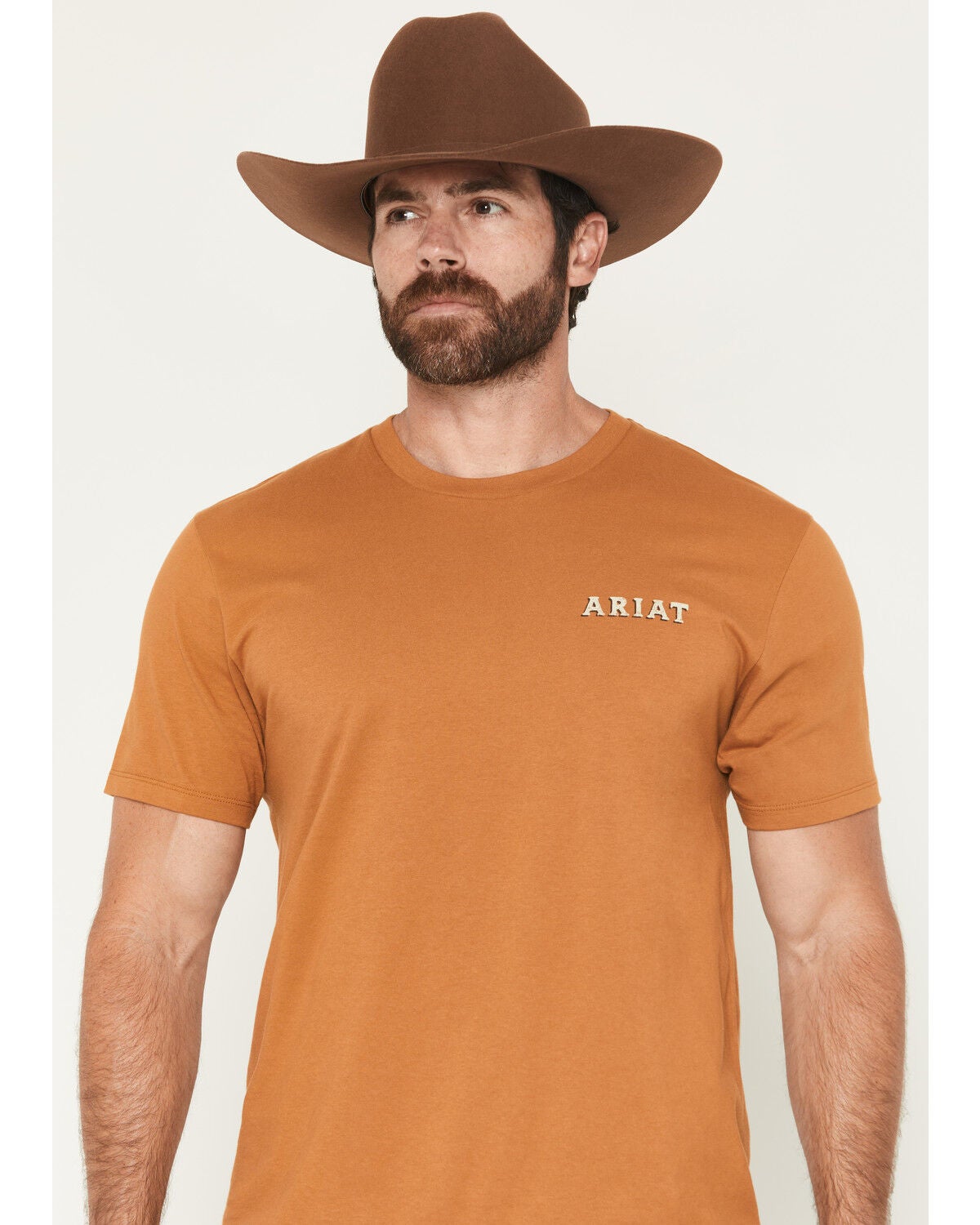 Image #2 - Ariat Men's Scorpion Seal Short Sleeve Graphic T-Shirt, Rust Copper, hi-res