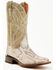 Image #1 - Dan Post Women's Boot Barn Exclusive Exotic Python Western Boots - Broad Square Toe, Natural, hi-res