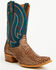 Image #1 - Dan Post Men's Exotic Python Belly Western Boots - Snip Toe, Brown, hi-res