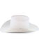 Resistol Men's Silverbelly 20X Beaver Felt Tarrant Cowboy Hat, Silver Belly, hi-res