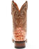 Dan Post Men's Tan Caiman Belly Western Boots - Broad Square Toe , Tan, hi-res