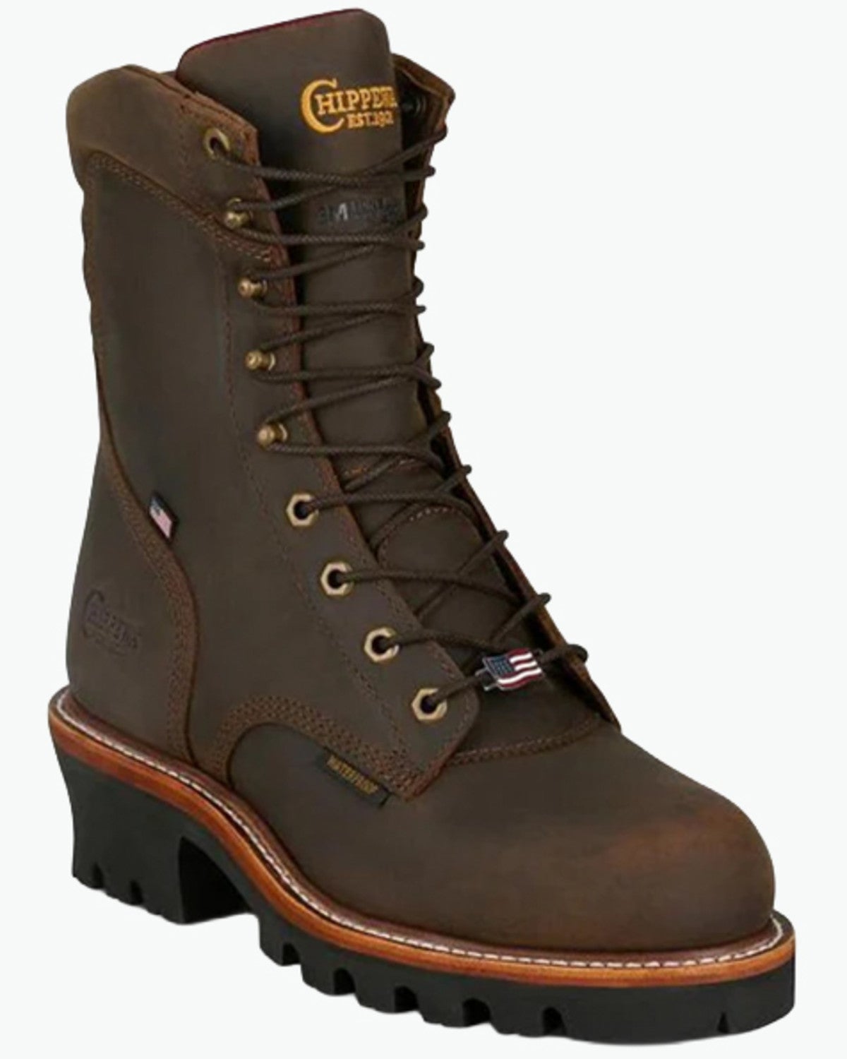 Men's Logger Boots
